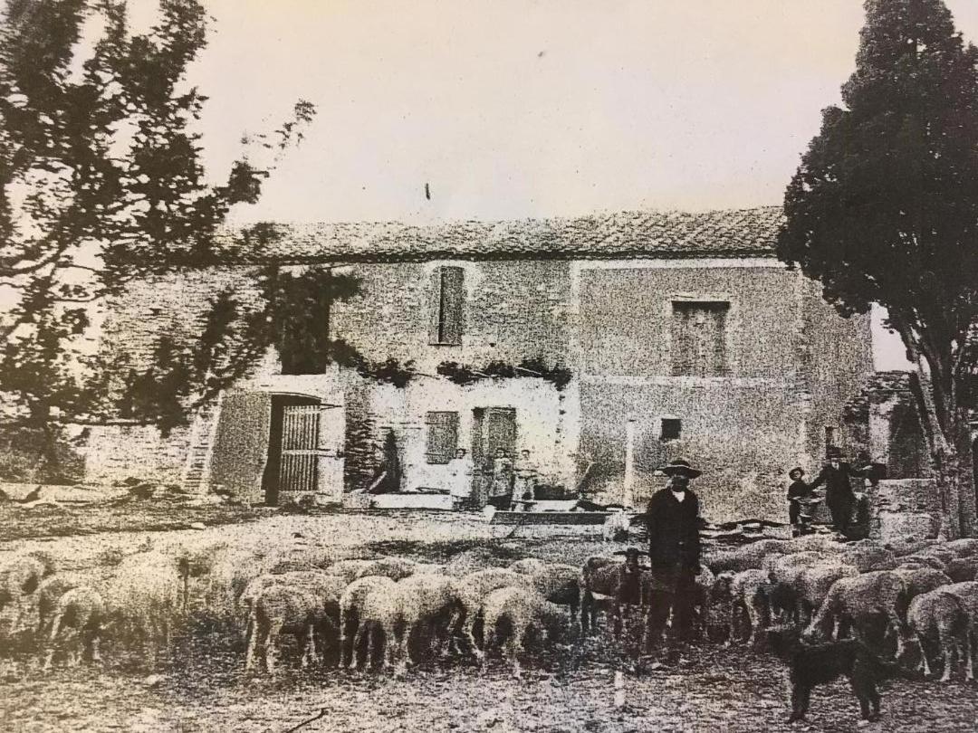 La Bergerie De Cigalon Bed & Breakfast Mouries Eksteriør bilde